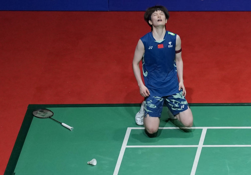 提供了一个 提供了一个