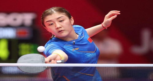 中国短道速 中国短道速